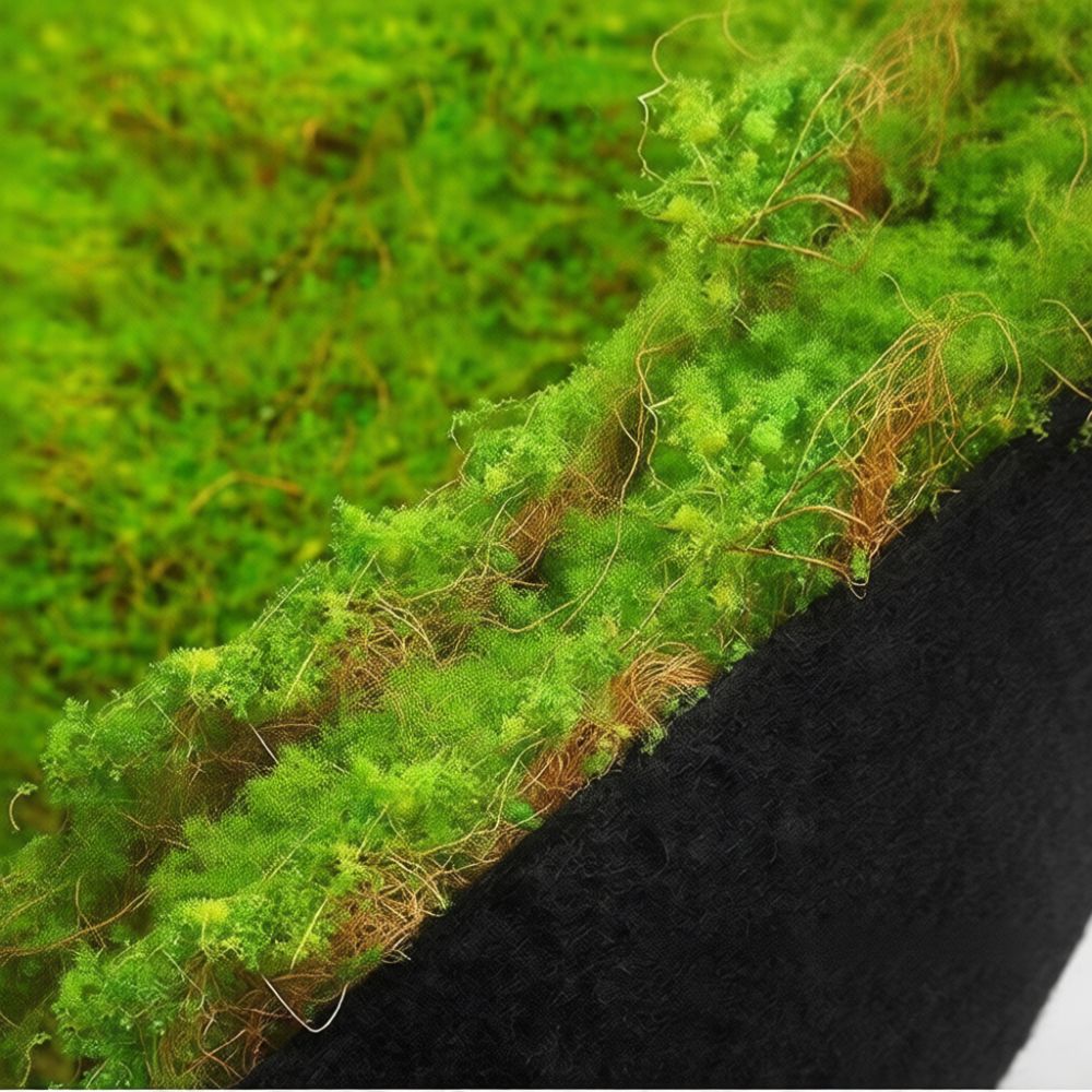 Sztuczna mata z imitacji mchu, – Preserved Moss Sheet recenzja i cena
